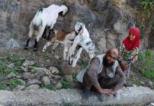 Un nomade musulman kashmiri Bakarwal assis à côté de sa fille et de ses chèvres dans leur camp temporaire près d'Udhampur, à environ 72 km au nord de Jammu, le 18 avril 2018