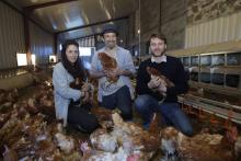 Fabien Sauleman (c), Elodie Pellegrin (g) et Sébastien Neusch, à la tête de "Poulehouse", qui offre une maison de retraite pour poules à Coussac-Bonneval, le 6 avril 2018
