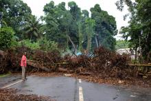 Le barrage fait d'arbres coupés et d'abattis qui coupait complètement l'accès au port de Longoni à Mayotte, le 5 avril 2018