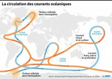 Schéma des circulations des courants océaniques