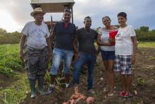 L'agriculteur Marcel Kichenassamy (g) pose avec sa famille dans un champ de patates douces en avril 2018