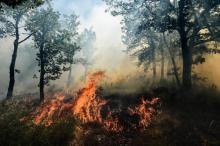 1.780 hectares sont partis en fumée à Artigues (Var), le 25 juillet 2017