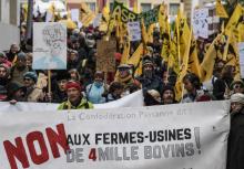 Militants de la Confédération paysanne manifestant contre le projet de ferme dite des "4.000 bovins" à Digoin (Saône-et-Loire) le 7 novembre 2017