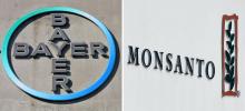Le rachat du rival américain Monsanto doit permettre à l'allemand Bayer de donner naissance au leader mondial de semences et de produits phytosanitaires