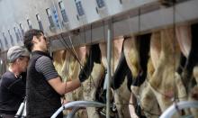 Les aléas climatiques qui affectent la production mondiale de lait devraient soutenir les cours