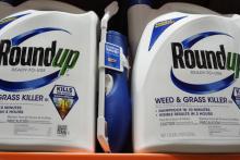 Des bidons de RoundUp, herbicide controversé de Monsanto, en vente dans une boutique de Glendale, le 19 juin 2018 en Californie