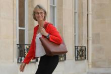 La ministre de la Culture Françoise Nyssen à l'Élysée à Paris, le 31 mai 2018