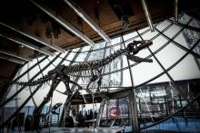 Un squelette d'un théropode, un dinosaure carnivore exposé au premier étage de la Tour Eiffel, à Paris le 2 juin 2018