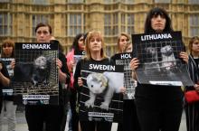 Des manifestants opposés au commerce de la fourrure le 4 juin 2018 près du parlement britannique, qui débat d'un projet d'interdiction de l'importation de fourrure au Royaume-Uni