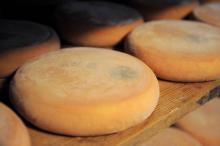 Les autorités sanitaires retirent de la vente l'ensemble des reblochons produits par la fromagerie Chabert