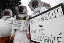 Des apiculteurs lancent un cri d'alarme sur le déclin des abeilles à Strasbourg, le 7 juin 2018