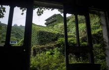 Des maisons abandonnées recouvertes de verdure dans le village chinois de Houtouwan, le 31 mai 2018.