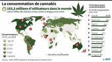 Carte des principaux pays consommateurs de cannabis dans le monde
