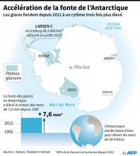 Des manchots Adélie en Antarctique, le 2 mars 2018