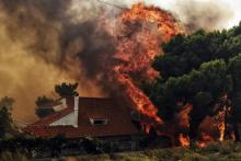 Des Grecs observent un feu de forêt à Rafina dans la banlieue d'Athènes, en Grèce