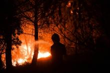 Incendie à Carnoux-en-Provence en août 2017