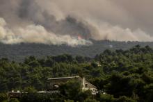 La fumée s'élève au-dessus de Kineta, près d'Athènes, en proie à un feu de forêt le 23 juillet 2018