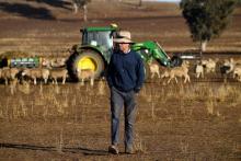 Clive Barton, un fermier australien, marche sur terres asséchées dans la région de Duri, en Nouvelle-Galles du Sud, le 7 août 2018