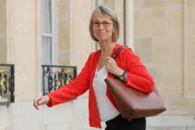 La ministre française de la Culture Françoise Nyssen arrive à l'Elysée, le 31 mai 2018