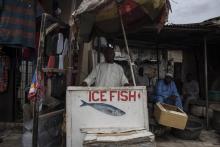Vente de poisson frai au marché Maiduguri (nord-est Nigéria), le 31 juillet 2017