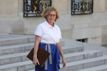 La ministre du Travail Muriel Pénicaud avait admis, lors d'une audition à l'Assemblée nationale début juin, que le PEC avait "mis un petit temps d'appropriation"
