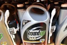 Une bouteille de Roundup, l'herbicide de Monsanto, photographiée le 9 juillet 2018 à San Rafael en Californie