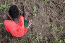 Un ex enfant-soldat soudanais participe à une classe sur l'agriculture à Pibor, dans l'est du Soudan du Sud, le 5 juin 2018