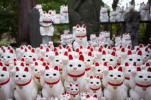 Des milliers de figurines de chats porte-bonheur, le 6 août 2018 au temple de Gotokuji, à Tokyo