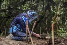 Un membre d'une équipe de déminage fouille un terrain à la recherche de mines anti-personnel, le 22 novembre 2017 à Briceño, en Colombie