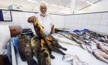 Des poissonniers libyens exposent la pêche du jour au marché de poissons à Tripoli, le 4 août 2018