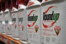 Bouteilles de Round'up, pesticide de Monsanto, le 19 juin 2018 à Glendale (Californie)