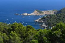 La côte espagnole à Aiguafreda (commune de Begur), village cerné par l'eau bleue de la Méditerranée et les pinèdes, et menacée par une nouvelle "fièvre de la construction", le 28 août 2018.