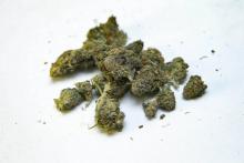 La cannabis thérapeutique va être autorisé au Royaume-Uni sur prescription