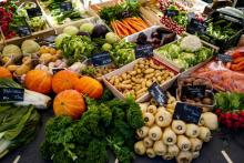 "Manger, ça revient cher, trop cher": la pauvreté alimentaire s'enracine en France selon le Secours populaire, qui appelle à "entrer en résistance" contre ce fléau avant la présentation du "plan pauvr