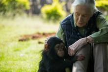 Jane Goodall le 9 juin 2018 en Ouganda