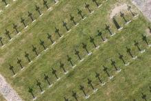 Le cimetière militaire du Vieil Armand, dans les Vosges, en 2018. Quelque 30.000 soldats français et allemands sont morts sur la montagne du Vieil Armand durant la première guerre mondiale