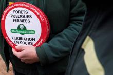 Un agent de l'Office National des Forêts brandit un panneau "forêts publiques fermées", à Saint-Bonnet-Tronçais (Allier), le 25 octobre 2018