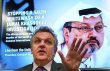 La forêt d'Istanbul où sont menées recherches sur la disparition du journaliste saoudien Jamal Khashoggi, le 19 octobre 2018