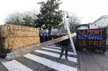 Défilé d'agriculteurs dans les rues d'Agen le 23 janvier 2017 pour protester contre le suicide de centaines de leurs collègues en France en 2016