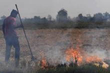 Un paysan brûle ses champs pour les débarrasser de la paille avant de semer pour la prochaine récolte, le 16 octobre 2018 à Ishargarh, en Inde