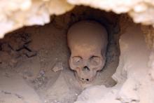 Un squelette découvert lors de fouilles en Egypte.