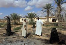 De retour dans sa ville de Taouarga (ouest libyen) après des années d'exil, Mahmoud Abou al-Habel (D) constate les dégâts causés par la guerre sur ses palmiers incendiés, le 9 novembre 2018