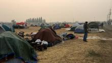 Des centaines de personnes évacuées campent dans des tentes, le 14 novembre 2018 à Chico, à proximité de Paradise en Californie (États-Unis)