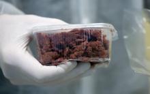 Photo d'illustration d'un échantillon de viande emmené pour des tests ADN, à Berlin en 2013.