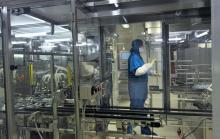 Une employée du laboratoire LFB spécialisé dans la production de médicaments dérivés du plasma, le 1er avril 2010 à Lille