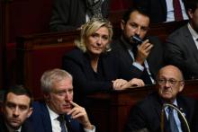 La présidente du Rassemblement national (RN) Marine Le Pen (C) à l'Assemblée nationale, le 6 novembre 2018 à Paris
