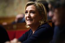 La présidente du Rassemblement national, Marine Le Pen, à l'Assemblée nationale à Paris le 14 novembre 2018