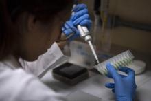 Une étudiante à l'université fédérale de Rio de Janeiro travaille dans le laboratoire de biologie de l'université, le 27 novembre 2018