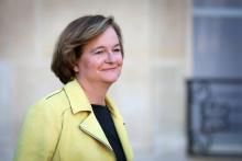 La ministre des Affaires européennes Nathalie Loiseau le 14 novembre 2018 à Paris