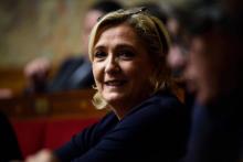 La présidente du Rassemblement national Marine Le Pen à l'Assemblée nationale, le 14 novembre 2018